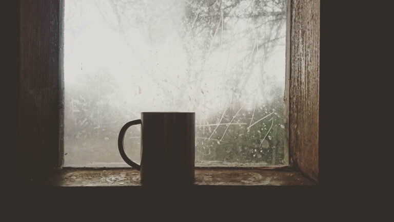 a mug in front of a window with winter outside
