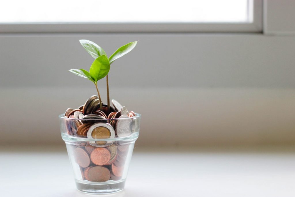 a plant growing in a pot of money to represent how to start the new year right