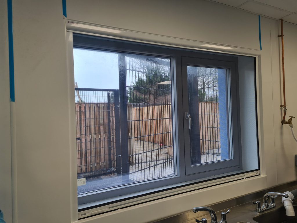 insect screens on a window